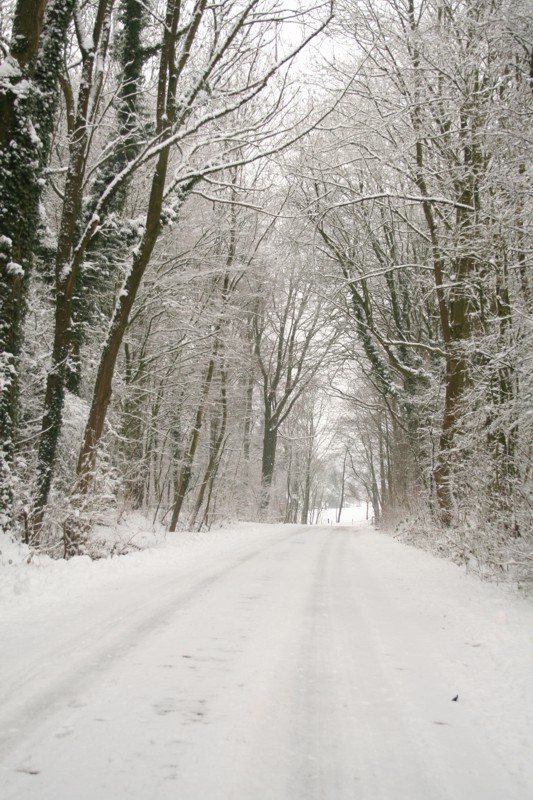 Oh weh, der Schnee! - WUNDERBLOG